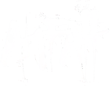 Logo kapely ANFALL