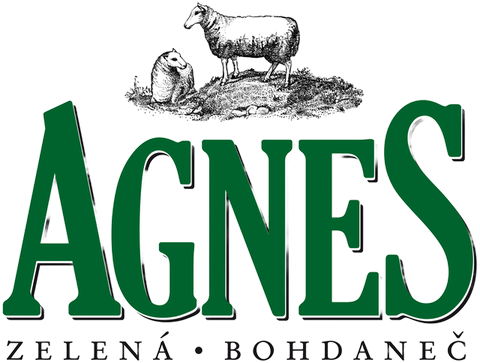 Partner festivalu AGNES